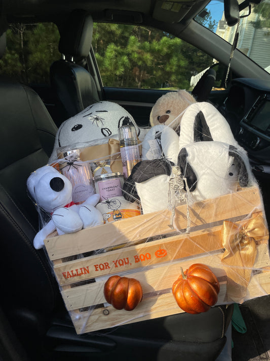 Snoopy fall basket 🧡🤎