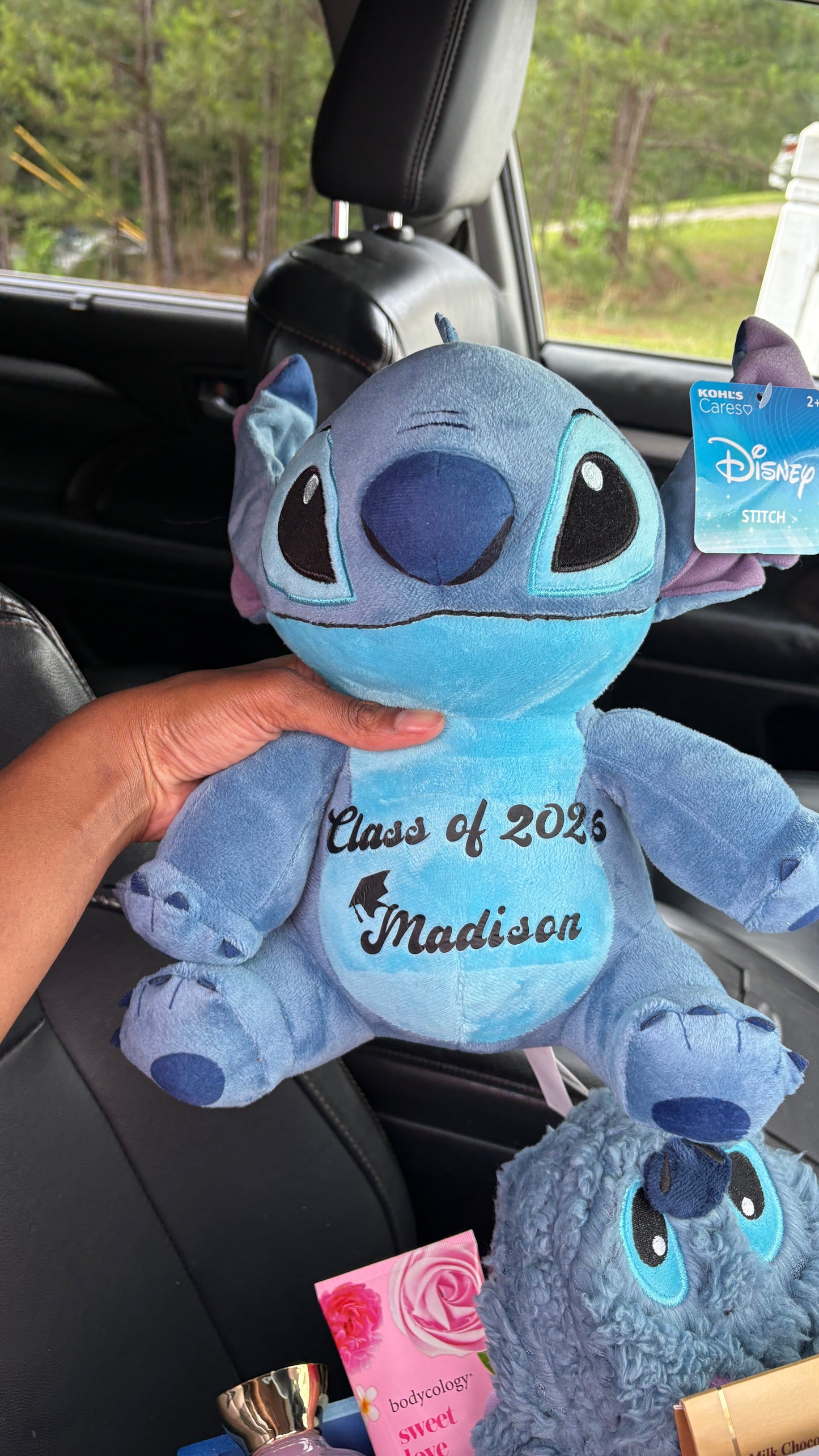Custom stitch plush💙