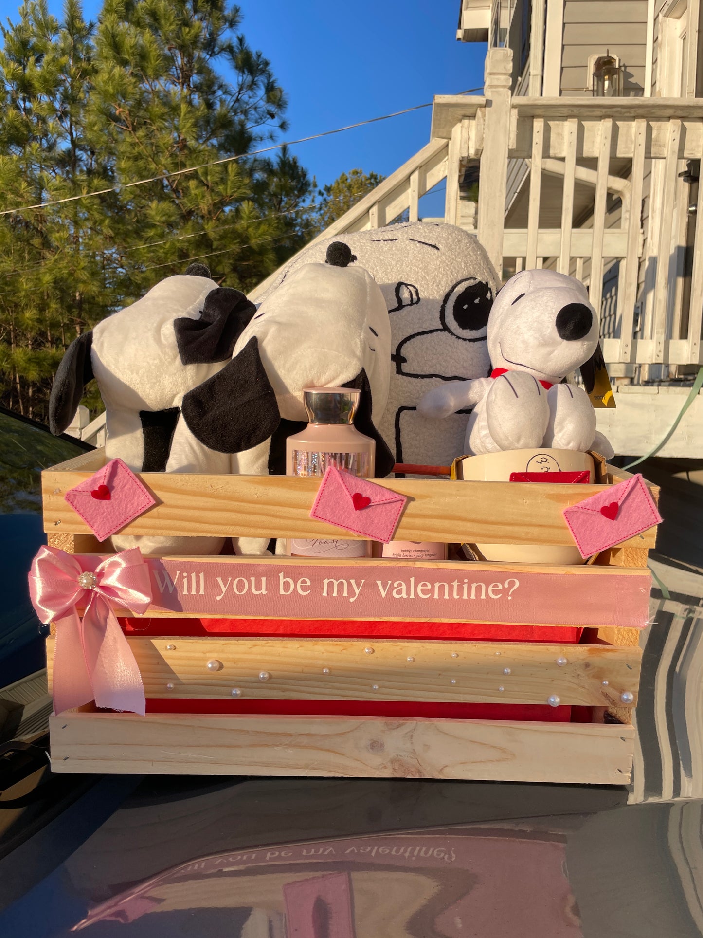 Snoopy v-day proposal basket