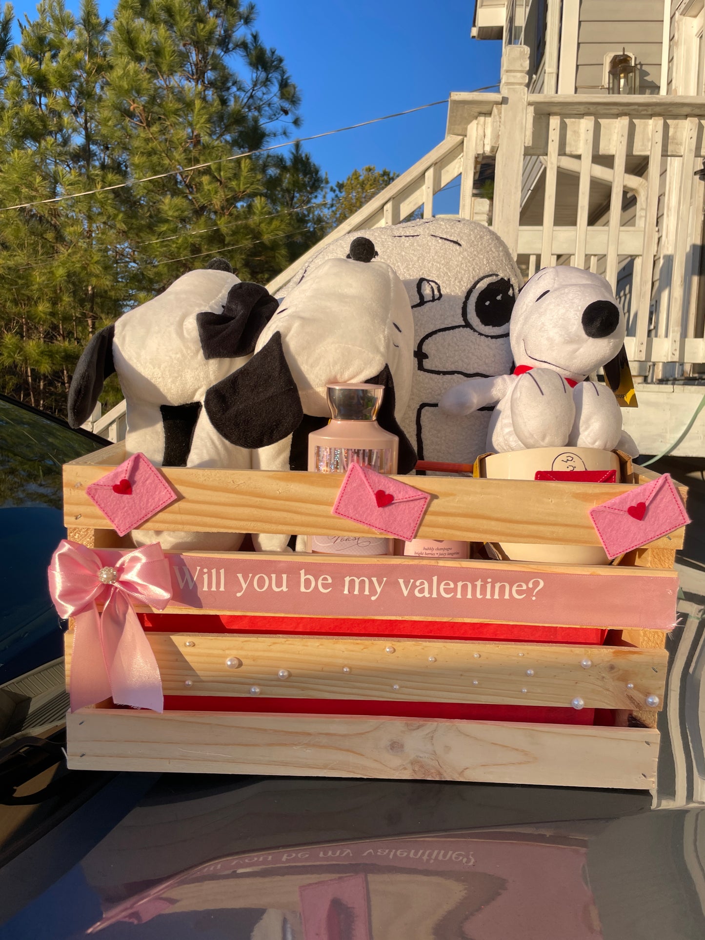 Snoopy v-day proposal basket